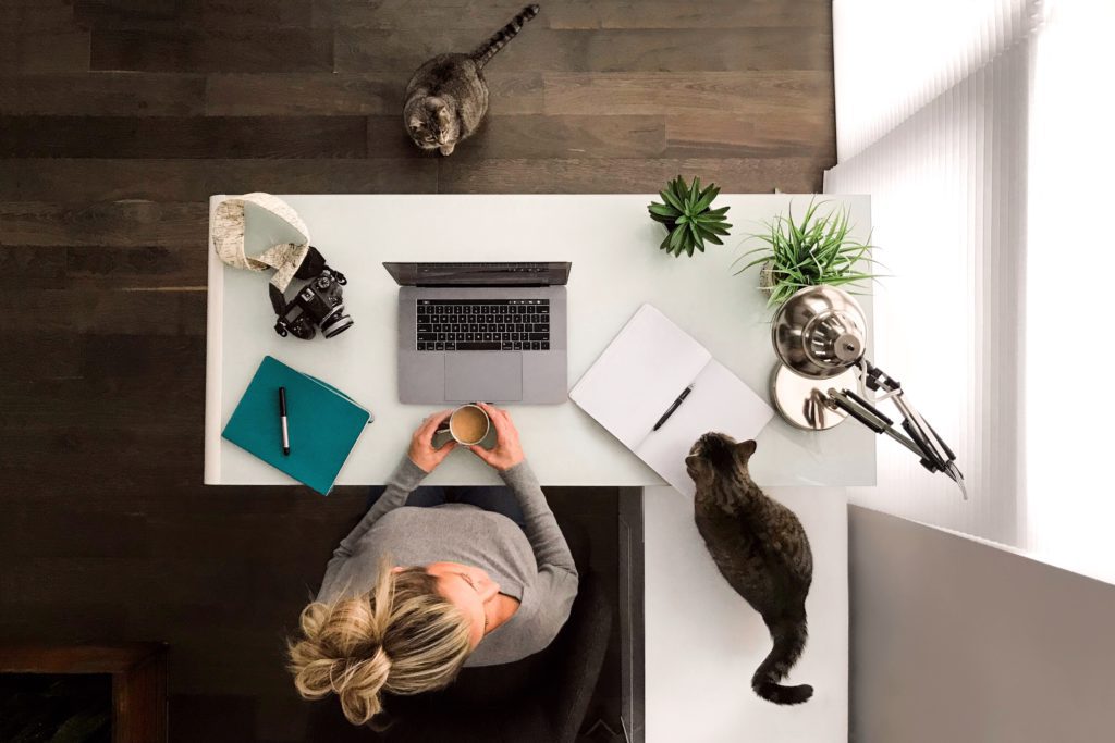 woman working at desk kitties kitten remote workfromhome